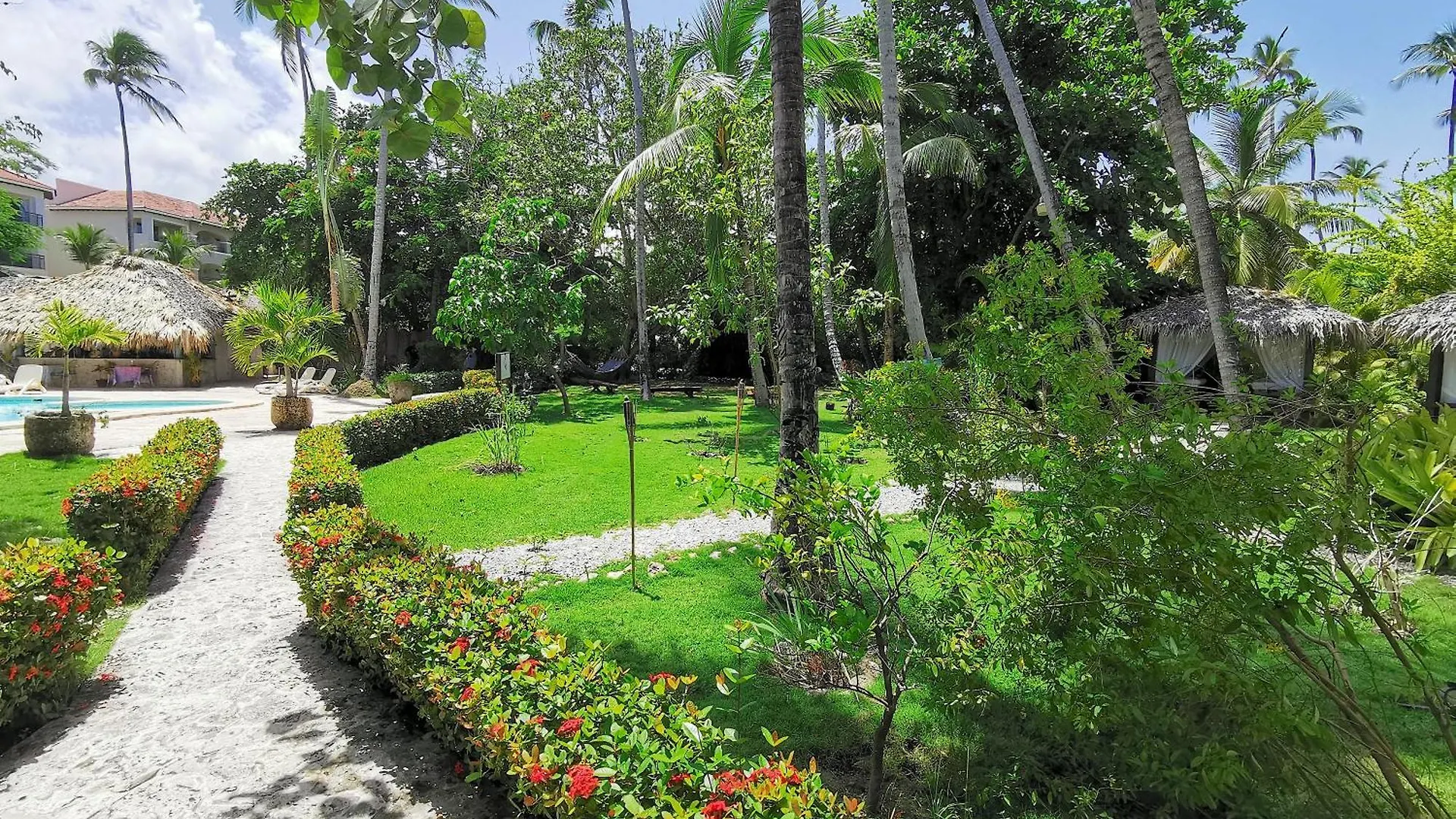Studio Suites Bavaro Beach Location Wifi Parking بونتا كانا جمهورية الدومينيكان